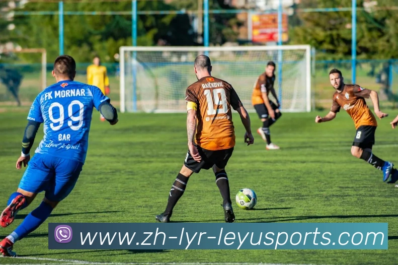 乐鱼官网APP 封面图